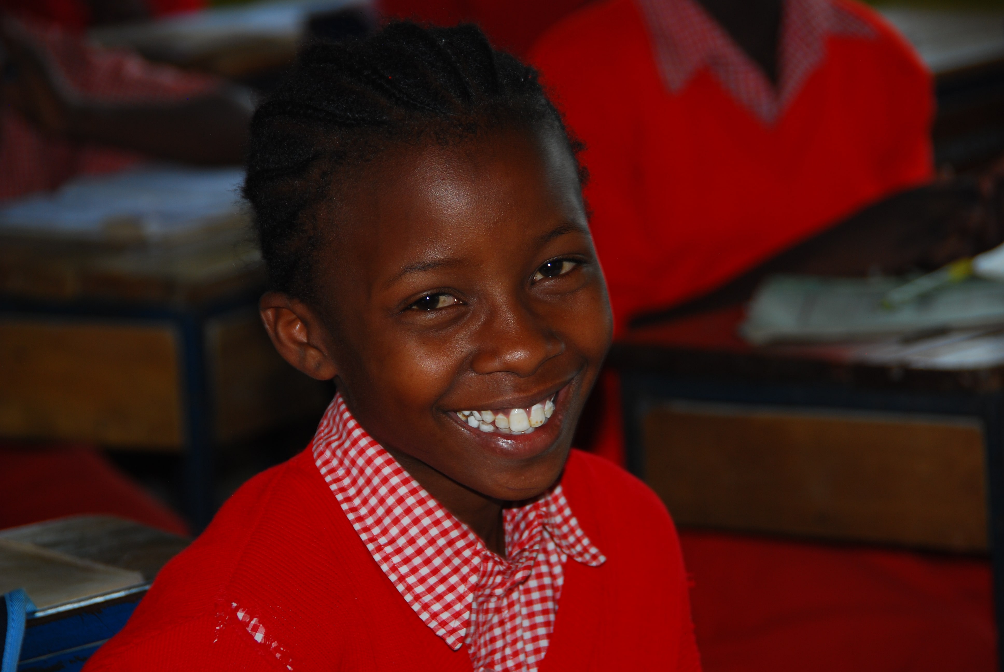 BlueTanzanite School